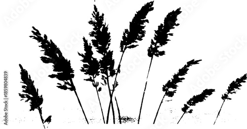 Black and white stencil illustration of dense coastal grasses