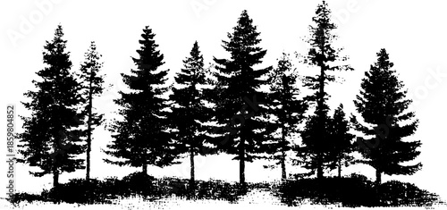 Black and white stencil art of coniferous forest in dense fog - nature illustration for posters or decor