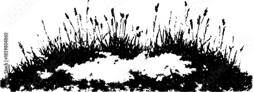 Black and white grass stencil illustration for nature design projects