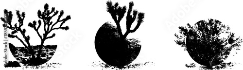 Monochrome stencil illustration of desert shrubs for creative design and decor