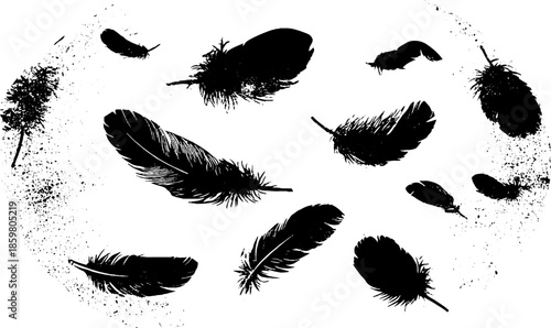 Black and white stencil illustration of drifting feathers with grunge effect for design use