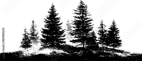 Forest silhouette in drifting fog for nature design and art