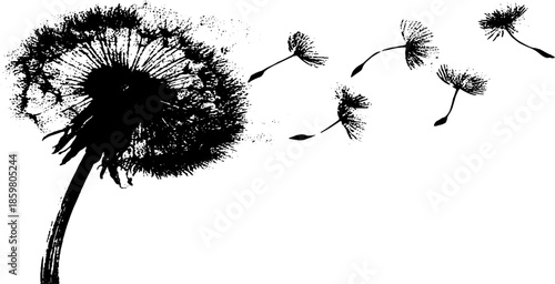 Black and white stencil illustration of drifting dandelion seeds for nature-inspired designs