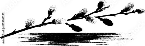 Black and white stencil illustration of drifting willow catkins for design and decoration