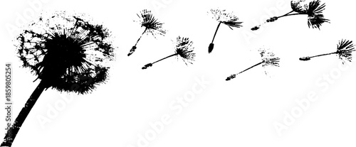 Black and white stencil illustration of drifting seeds in motion for nature art designs