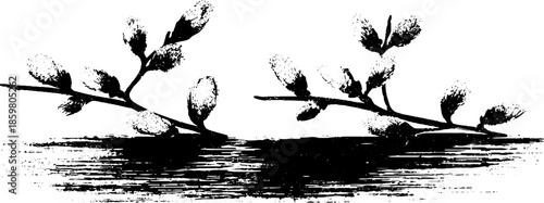 Black and white stencil art of drifting willow catkins illustration