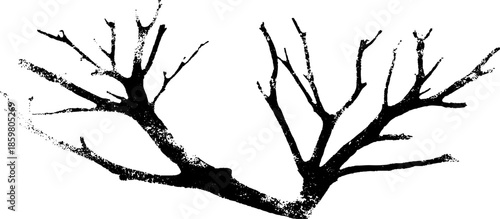 Black and white stencil illustration of driftwood branches for art and design