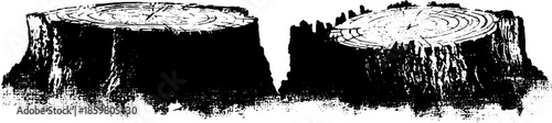Black and white stencil illustration of tree stump bark plates for design and decoration