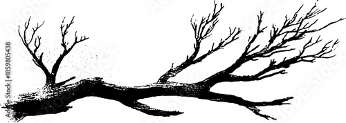 Black and white stencil design of fallen desert twigs for nature-inspired art