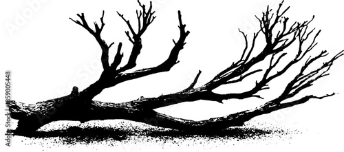 Black and white stencil illustration of fallen desert twigs for nature and design concepts