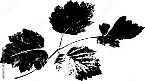 Black and white stencil illustration of layered fallen leaves for nature themed design