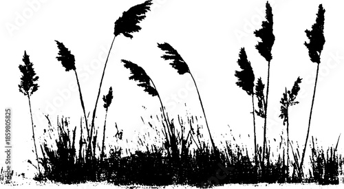 Monochrome stencil art of frost kissed marsh grass