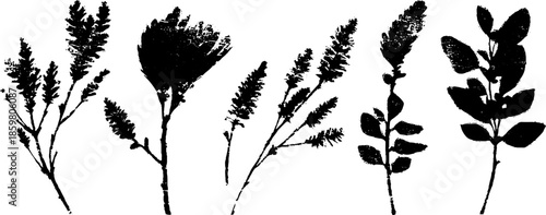 Black and white stencil of hardy mountain shrubs - nature inspired illustration for artistic design
