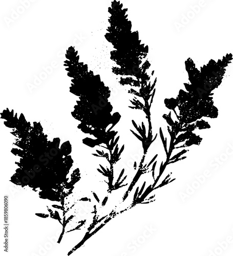 Monochrome stencil art of hardy mountain shrubs for botanical designs