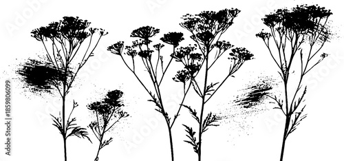 Black and white stencil illustration of hardy mountain shrubs for nature art design