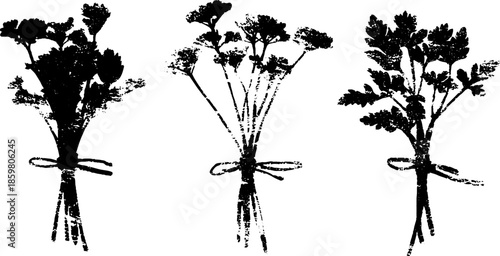 Black and white stencil illustration of tied herb bunches for botanical design