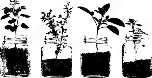 Monochrome stencil art of houseplant cuttings in jars for home decor and botanical design