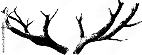 Monochrome stencil design of interwoven dead branches for art and decor