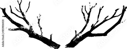 Black and white stencil art of interwoven dead branches for urban design