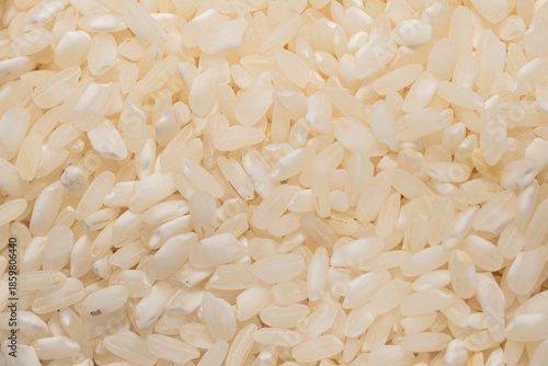 white rice background