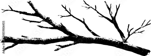Black and white stencil illustration of interwoven dead branches for nature art and design