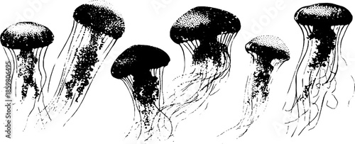 Black and white jellyfish stencil illustration for urban art and design projects