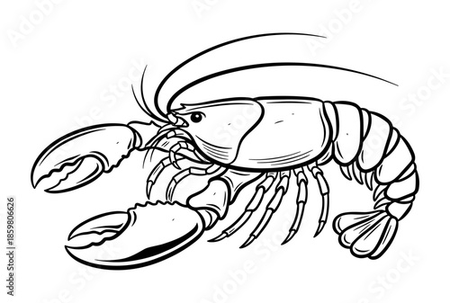 Crayfish in line art style in black and white