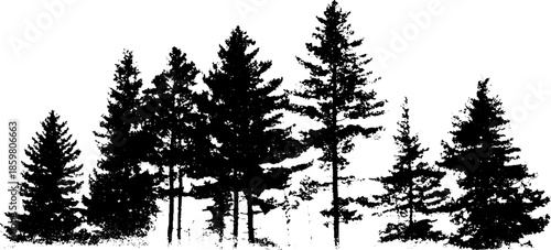 Layered pine forest silhouette in black and white stencil art for nature design