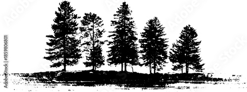 Black and white stencil illustration of pine tree shadows