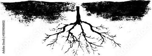 Black and white stencil illustration of long willow roots for art and design projects