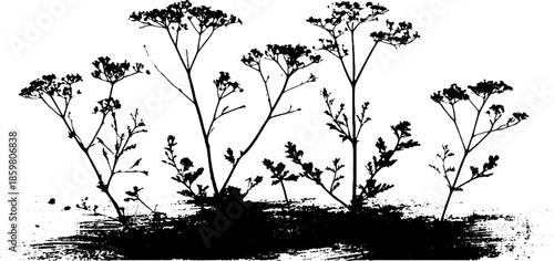 Black and white stencil illustration of plants in low fog with splatter effect