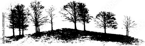 Black and white woodland silhouette illustration with trees and shadows for nature art and design