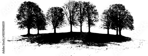 Black and white stencil illustration of woodland trees with shadows