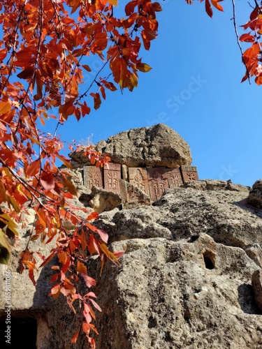 autumn leaves on a rock