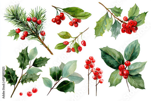 Festive Watercolor Christmas Clipart Set: Fir Branches, Red Berries, Holly & Mistletoe for Holiday Design Projects