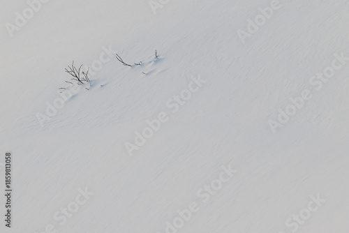 雪に覆われた大地