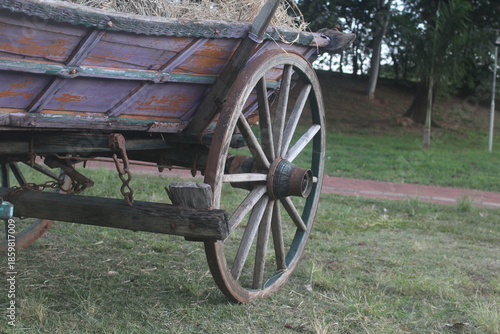 old wooden cart