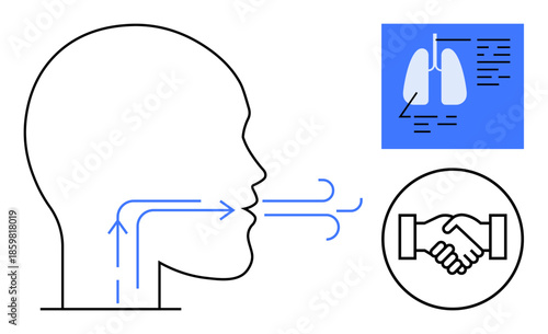 Respiratory health. Highlighting breathing airflow, lung function, and collaborative health management. Respiratory system visualization with airflow, lung anatomy, and cooperation. For healthcare