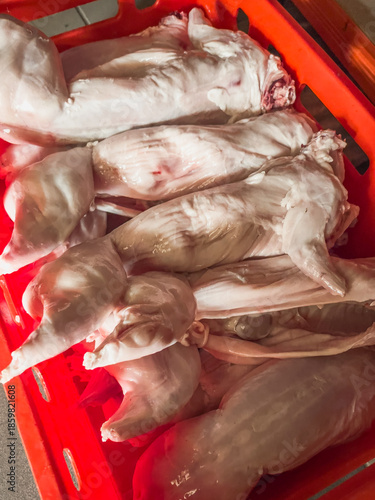 Fresh, raw rabbit carcasses stacked in a red plastic transport box, shown in portrait orientation with bright, industrial lighting in a professional butchery