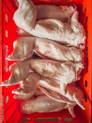 Fresh, raw rabbit carcasses stacked in a red plastic transport box, shown in portrait orientation with bright, industrial lighting in a professional butchery