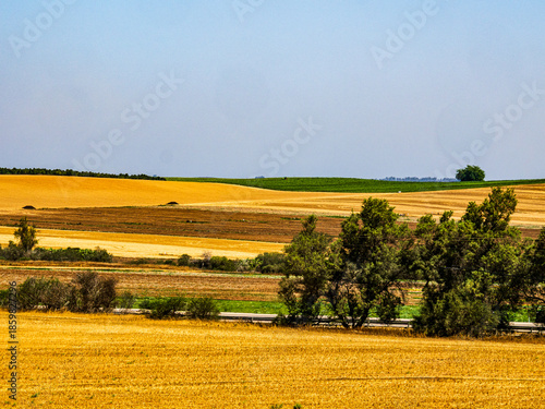Rolling fields in the sun after harvesting crops at a kibbutz in the Negev in Israel.