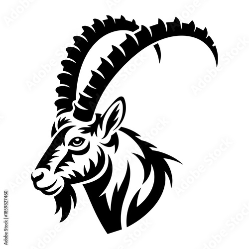 Ibex