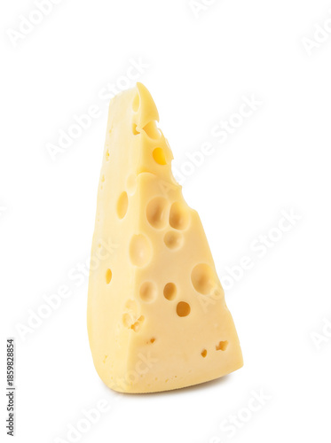Piece of tasty Swiss cheese...
