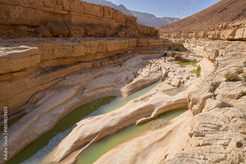 Wadi Hemar in Judean Desert after flood. Water pools created by heavy rain. Rare desert landscape. White riverbed of the wadi. Reflection of cliffs in pools. A female tourist walking along the wadi.