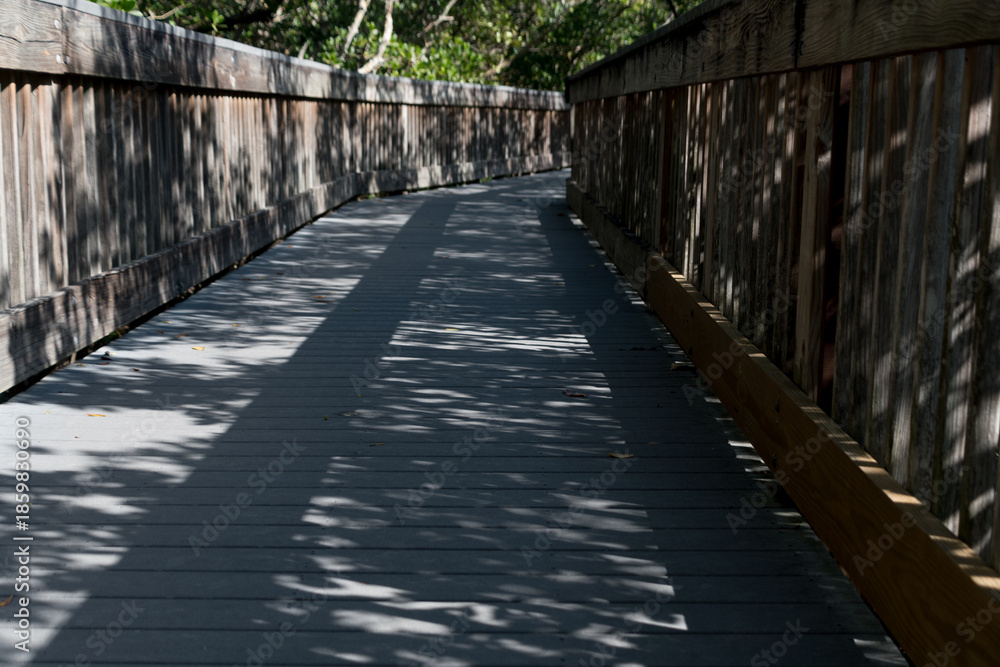 Obraz premium Light and Shadow Across Bay Boardwalk, Weedon Island Preserve