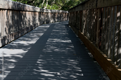 Light and Shadow Across Bay Boardwalk, Weedon Island Preserve