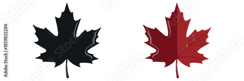 The classic maple leaf, a national symbol of Canada. Vector set includes a detailed line art version, a black silhouette, and a shaded red color version.