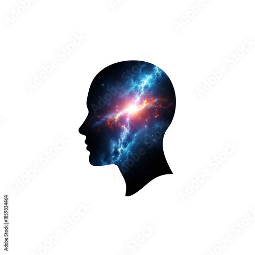 Wallpaper Mural Galaxy in a mind profile Torontodigital.ca
