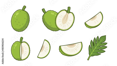 Breadfruit Illustration Set with Whole Fruit Sliced Pieces and Leaf in Flat Style