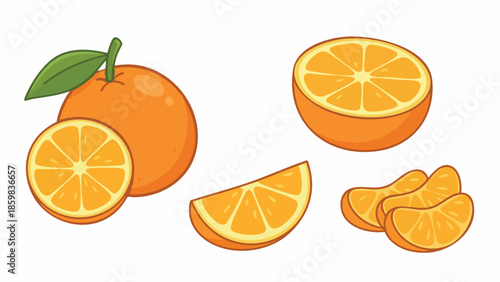 Orange Fruit Illustration Set with Whole and Sliced Orange